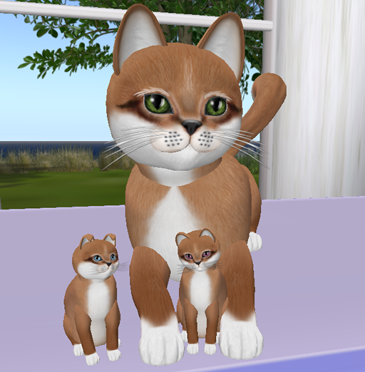 [Image: foxy-family.png]